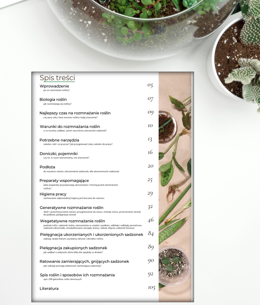 Rozmnażanie roślin domowych – Anna Skorupska, e-book