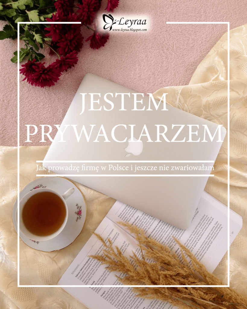 Jestem Prywaciarzem - Jak prowadzę firmę w Polsce i jeszcze nie zwariowałam - Ana Mieszkowska, e-book PDF