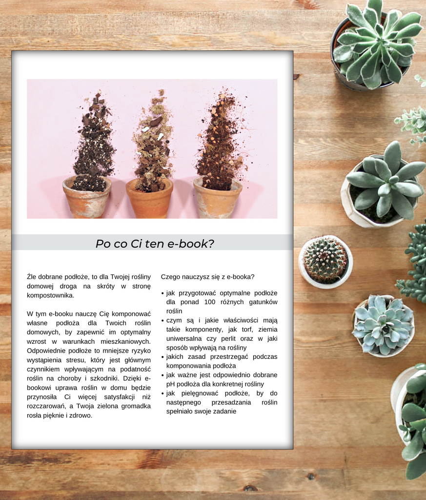 Podłoże Idealne + Gotowe Przepisy Na Podłoża Dla 115 Gatunków Roślin Domowych – Anna Skorupska, e-book
