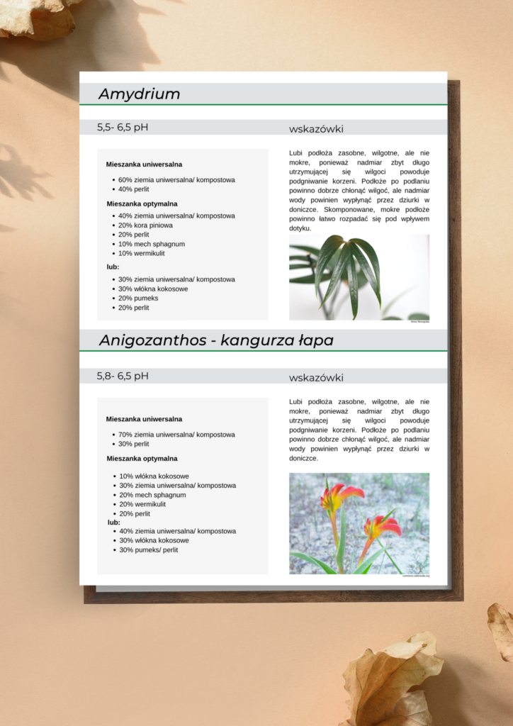 Gotowe Przepisy Na Podłoża Dla 115 Gatunków Roślin Domowych – Anna Skorupska, e-book