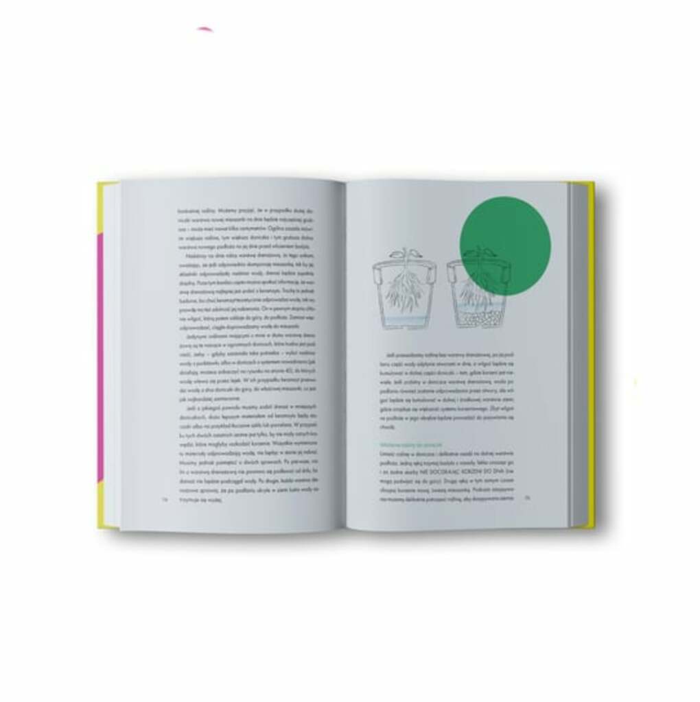 Roślinne historie - Dawid Oleszko; książka