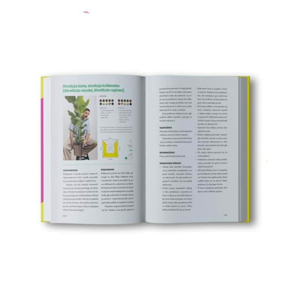 Roślinne historie - Dawid Oleszko; książka